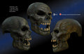 MysteryMakers — Zombie Moving Jaw Mask