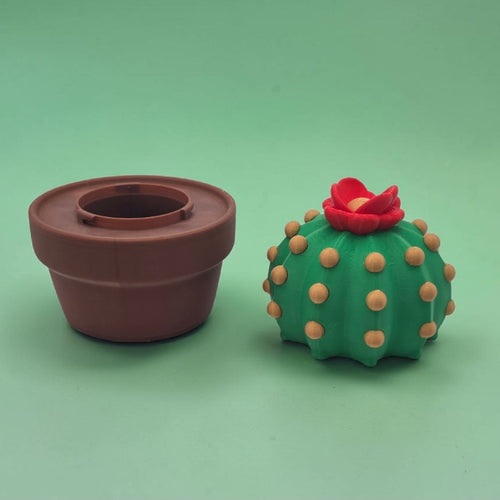 3DJPDesigns - Cactus Container