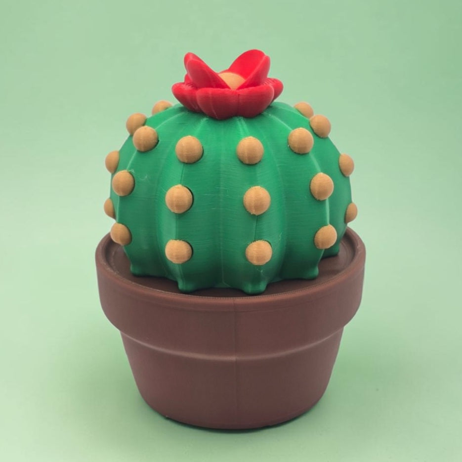 3DJPDesigns - Cactus Container